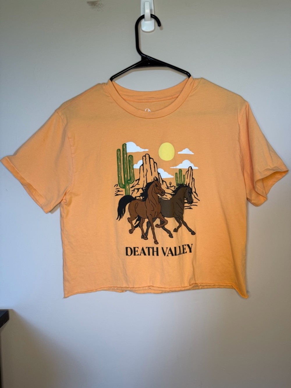 Death Valley Desert Graphic Tee - Peach Orange